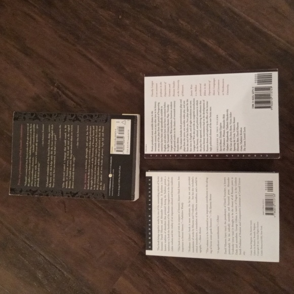 3 Paperbacks on Russian Literature - Picture 2 of 8